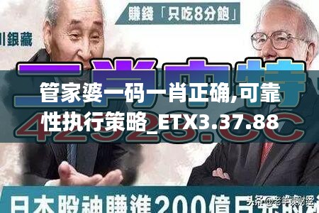 管家婆一码一肖正确,可靠性执行策略_ETX3.37.88蓝球版