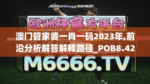 澳门管家婆一肖一码2023年,前沿分析解答解释路径_POB8.42.46私人版