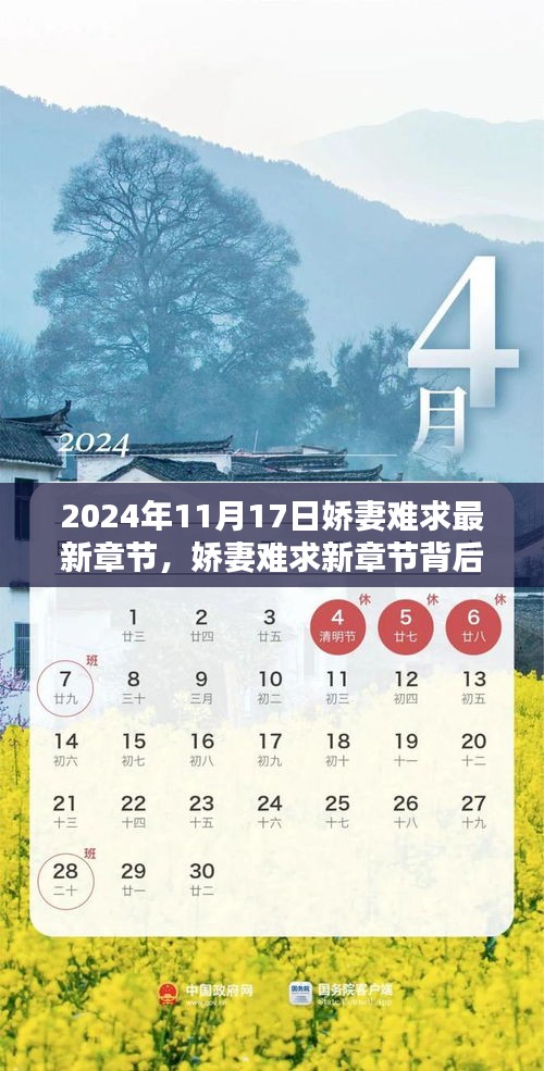 娇妻难求，独特小店背后的秘密与最新章节探秘（2024年11月17日）