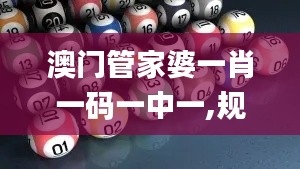 澳门管家婆一肖一码一中一,规划解答解释落实_AWU5.58.60模拟版