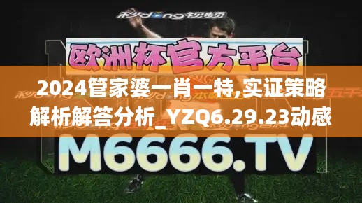 2024管家婆一肖一特,实证策略解析解答分析_YZQ6.29.23动感版