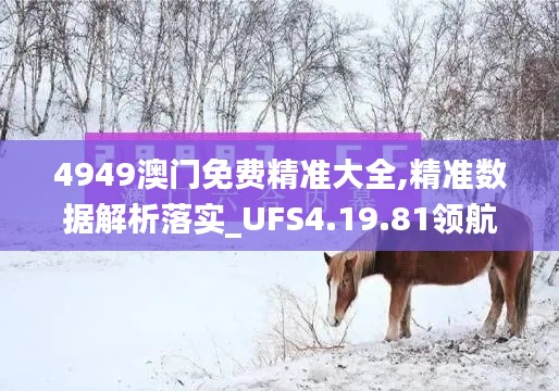 4949澳门免费精准大全,精准数据解析落实_UFS4.19.81领航版