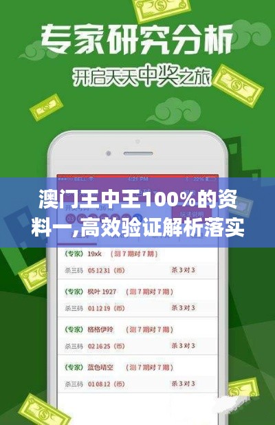 澳门王中王100%的资料一,高效验证解析落实_BNF8.29.97跨平台版