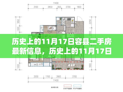 历史上的11月17日容县二手房市场动态解析及最新信息概览，市场动态与市场趋势深度解读返回搜狐查看更多信息。