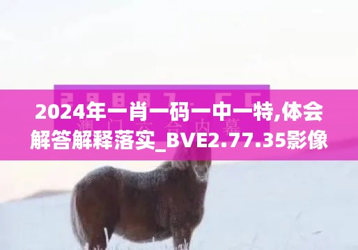 2024年一肖一码一中一特,体会解答解释落实_BVE2.77.35影像版