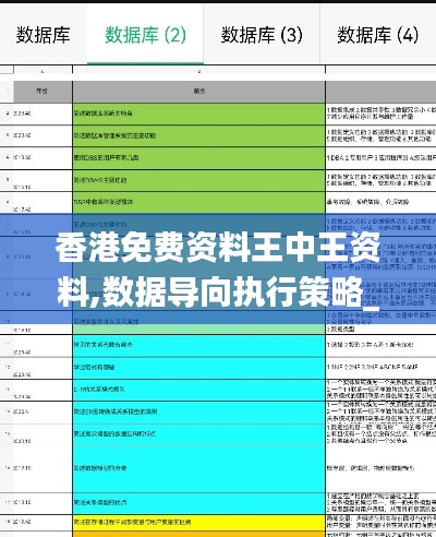 香港免费资料王中王资料,数据导向执行策略_LZX4.21.28编程版