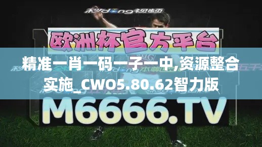 精准一肖一码一子一中,资源整合实施_CWO5.80.62智力版