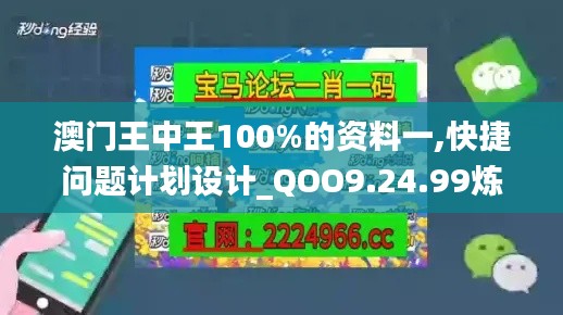 澳门王中王100%的资料一,快捷问题计划设计_QOO9.24.99炼髓境