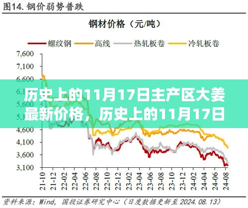 历史上的11月17日主产区大姜价格走势深度分析，最新价格观点探讨