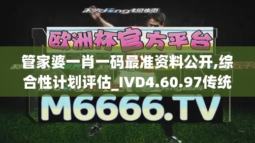 管家婆一肖一码最准资料公开,综合性计划评估_IVD4.60.97传统版