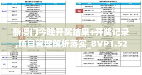 新澳门今晚开奖结果+开奖记录,项目管理解析落实_BVP1.52.64优选版