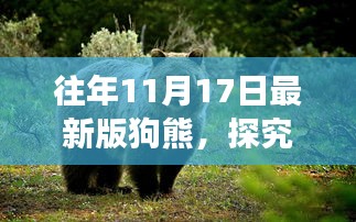 探究往年11月17日最新版狗熊，正反观点碰撞与个人立场探究