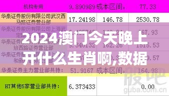 2024澳门今天晚上开什么生肖啊,数据化决策分析_DYJ5.38.86网页版