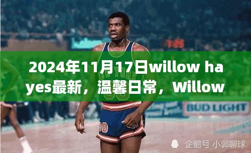 Willow Hayes的温馨日常，特别日子的记录与分享（2024年11月17日最新）