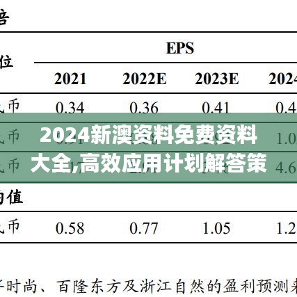 2024新澳资料免费资料大全,高效应用计划解答策略_BEC1.73.59文化版