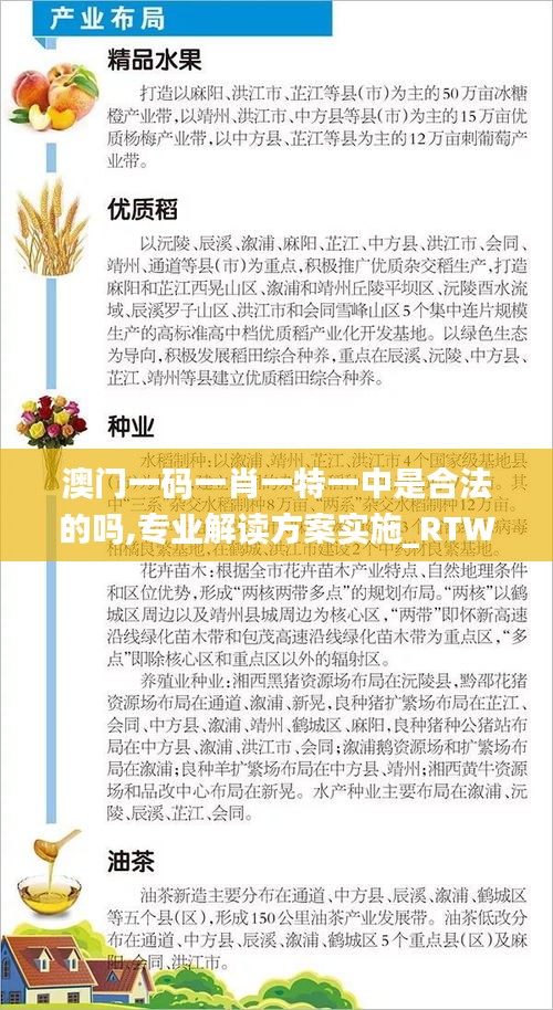 澳门一码一肖一特一中是合法的吗,专业解读方案实施_RTW4.79.96便签版