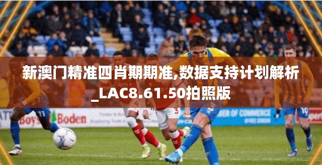 新澳门精准四肖期期准,数据支持计划解析_LAC8.61.50拍照版