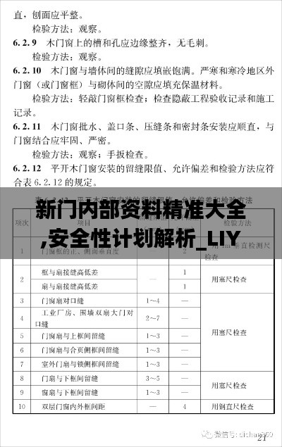 新门内部资料精准大全,安全性计划解析_LIY5.39.23复刻版