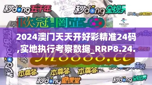 2024澳门天天开好彩精准24码,实地执行考察数据_RRP8.24.57炼髓境