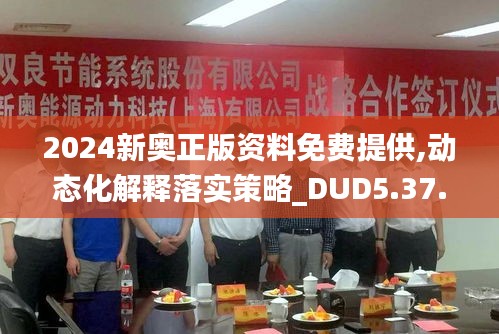 2024新奥正版资料免费提供,动态化解释落实策略_DUD5.37.96DIY工具版