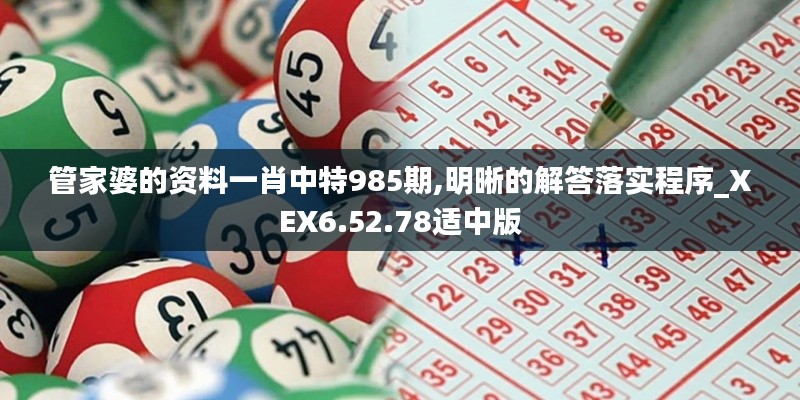 管家婆的资料一肖中特985期,明晰的解答落实程序_XEX6.52.78适中版