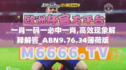 一肖一码一必中一肖,高效现象解释解答_ABN9.76.34薄荷版