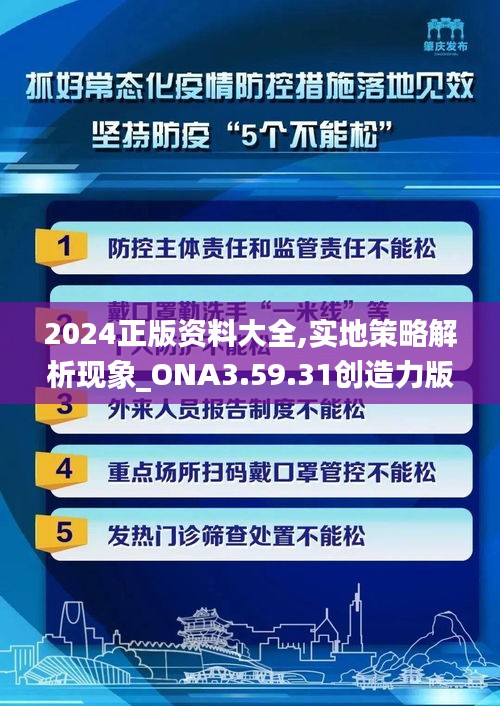 2024正版资料大全,实地策略解析现象_ONA3.59.31创造力版