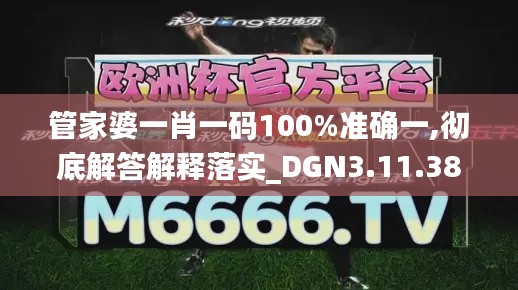 管家婆一肖一码100%准确一,彻底解答解释落实_DGN3.11.38限量版