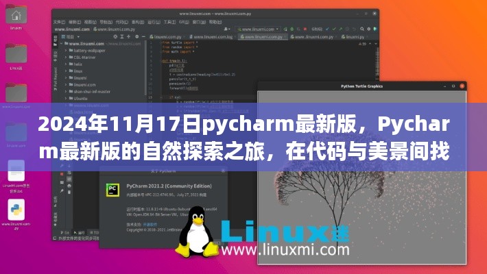 Pycharm最新版的自然探索之旅，代码与美景交融，寻找内心宁静的时刻（2024年11月版）