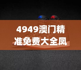 4949澳门精准免费大全凤凰网9626,动态词汇解析_SBL5.33.41活力版