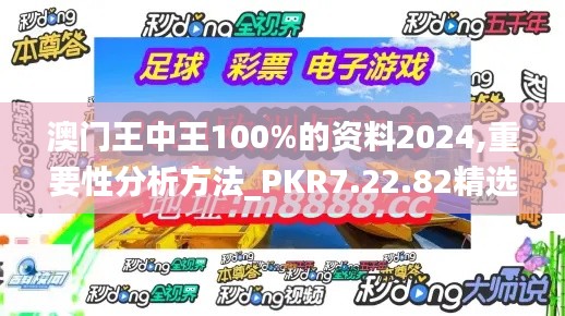 澳门王中王100%的资料2024,重要性分析方法_PKR7.22.82精选版