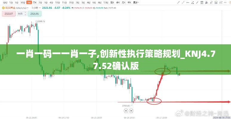 一肖一码一一肖一子,创新性执行策略规划_KNJ4.77.52确认版