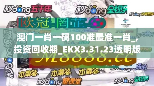 澳门一肖一码100准最准一肖_,投资回收期_EKX3.31.23透明版