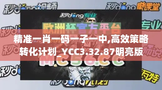 精准一肖一码一子一中,高效策略转化计划_YCC3.32.87明亮版