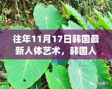 韩国人体艺术的发展与探索，往年11月17日的最新视角赏析