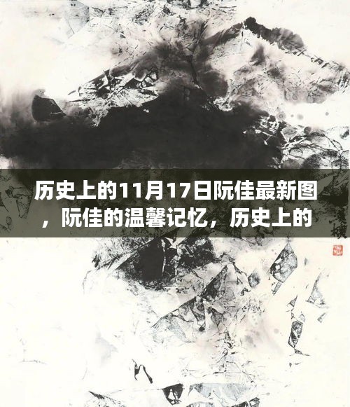 阮佳的温馨记忆，历史上的11月17日与朋友间的奇妙日常与最新图册展示