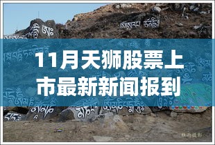 天狮股票上市最新动态报道，聚焦要点解析与最新新闻报道