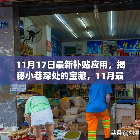 11月最新补贴应用探秘，小巷深处的宝藏特色小店