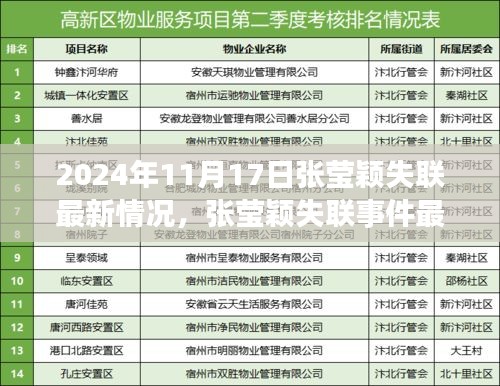 张莹颖失联事件最新进展，背景、事件、影响与时代地位探寻（2024年最新情况）