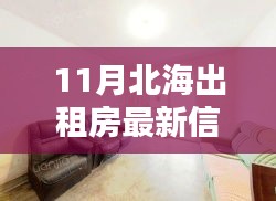 北海十一月宁静海洋的租房指南，最新出租房信息及租房指南大揭秘