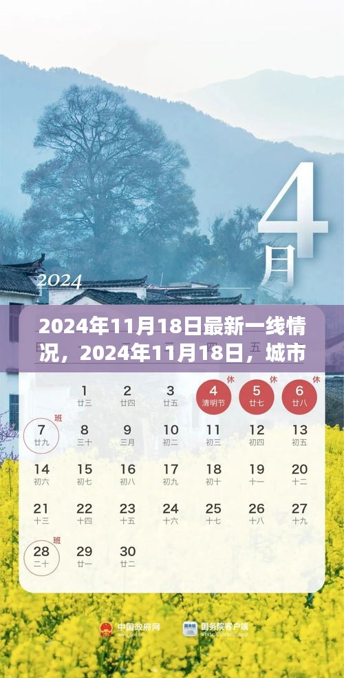 2024年11月18日一线城市的温馨瞬间与小确幸