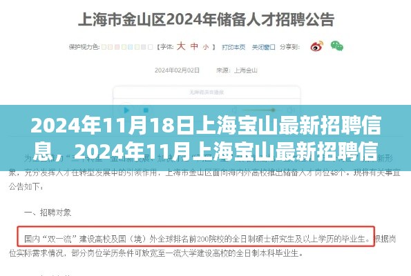 2024年上海宝山最新招聘信息全攻略，求职步骤详解