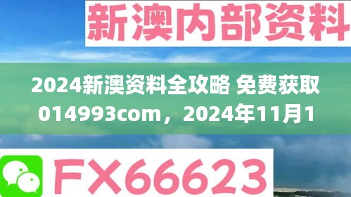 2024新澳资料全攻略 免费获取014993com，2024年11月19日预测剖析_SIF8.37.53触感版