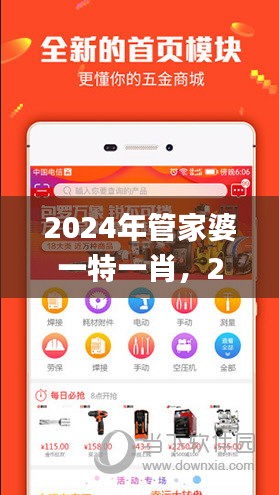 2024年管家婆一特一肖，2024年11月19日专业数据解读设想_OXM4.29.36精密版