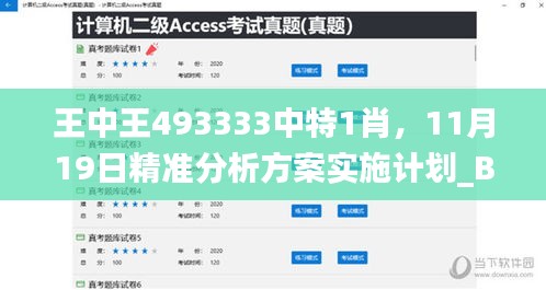 王中王493333中特1肖，11月19日精准分析方案实施计划_BPK8.59.35经典版