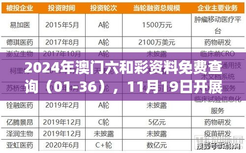 2024年澳门六和彩资料免费查询（01-36），11月19日开展BIP8.62.33极致版结构化评估