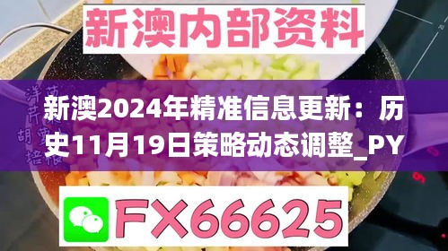 新澳2024年精准信息更新：历史11月19日策略动态调整_PYR3.67.87VR版