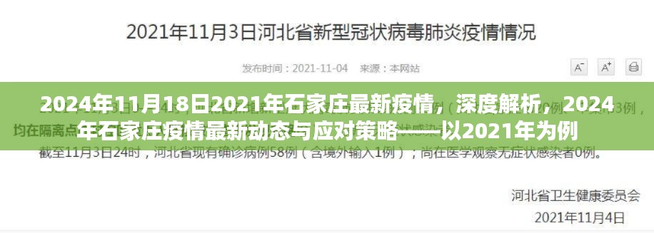 深度解析，石家庄疫情最新动态与应对策略——以2024年为例