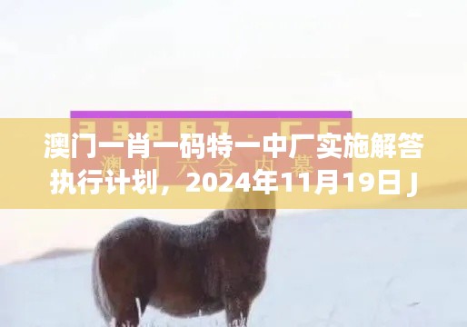 澳门一肖一码特一中厂实施解答执行计划，2024年11月19日 JHN8.67.93零售版