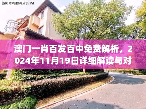 澳门一肖百发百中免费解析，2024年11月19日详细解读与对策_YHD8.40.29亮版